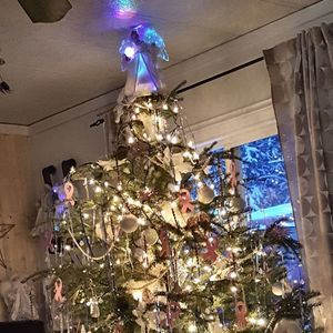 Meet your Posher, Tonya